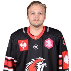 Erik Brannstrom